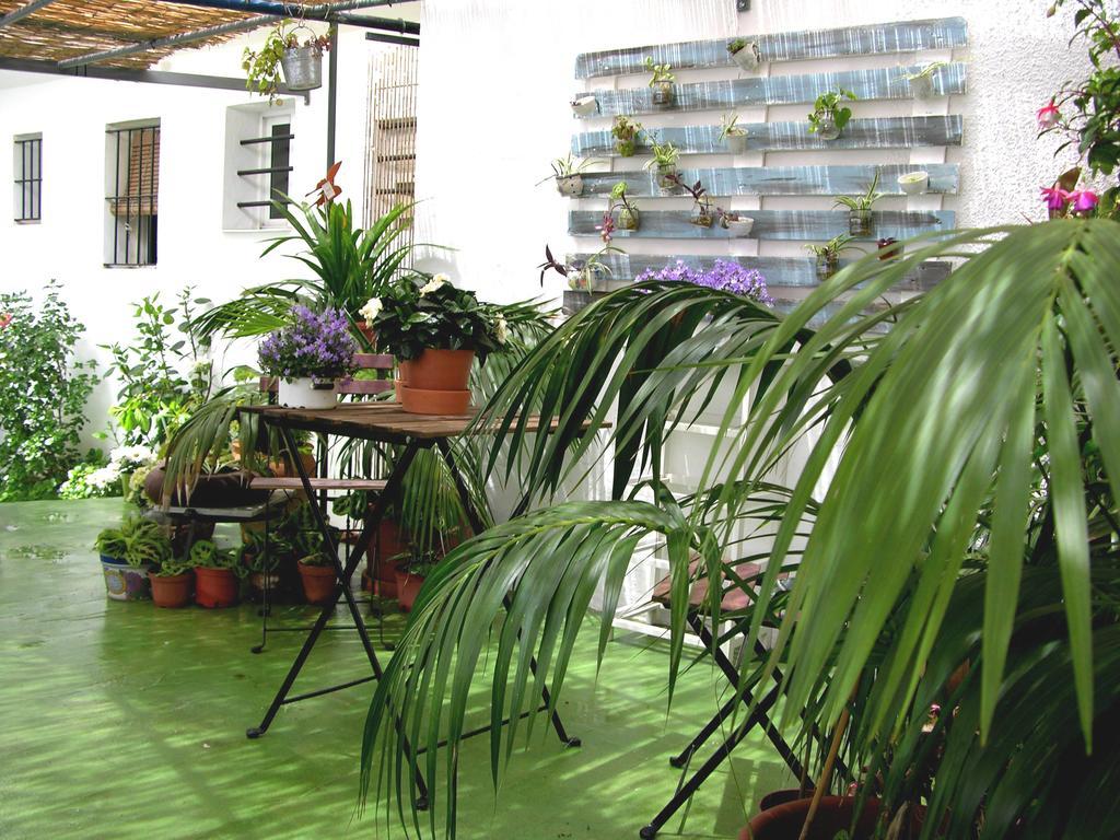 Apartamentos Calypso Punta Umbría المظهر الخارجي الصورة